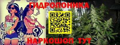 СК Ливны