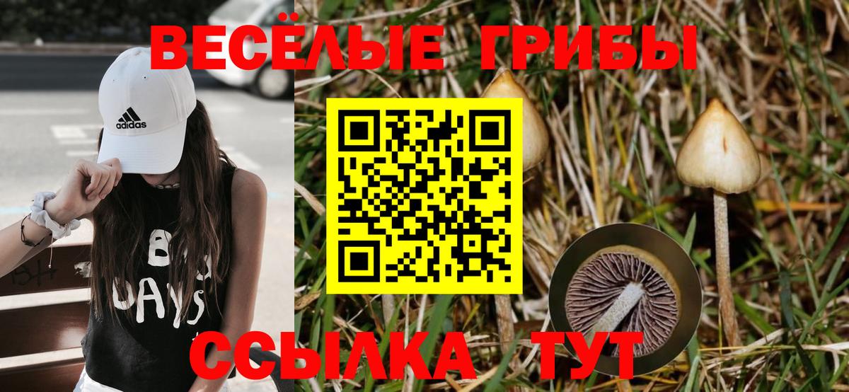Галлюциногенные грибы GOLDEN TEACHER  Вход с VPN  Гагарин  Галлюциногенные грибы мухоморы 