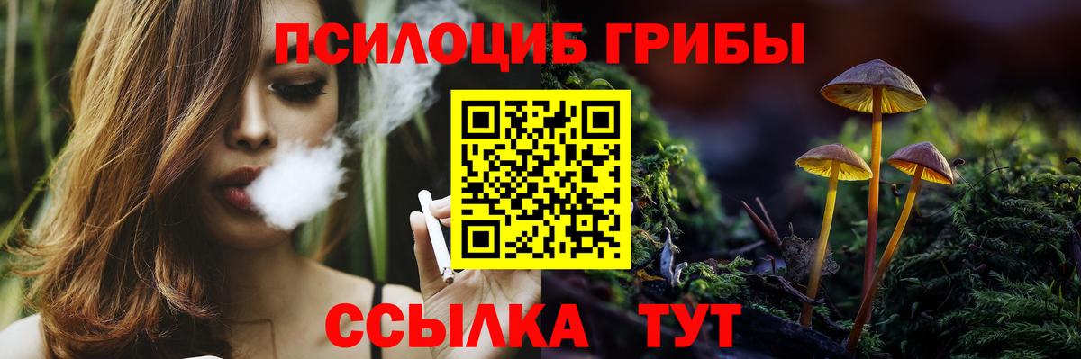 Псилоцибиновые грибы Psilocybe Гагарин